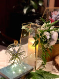 Gold rectangular candle holders